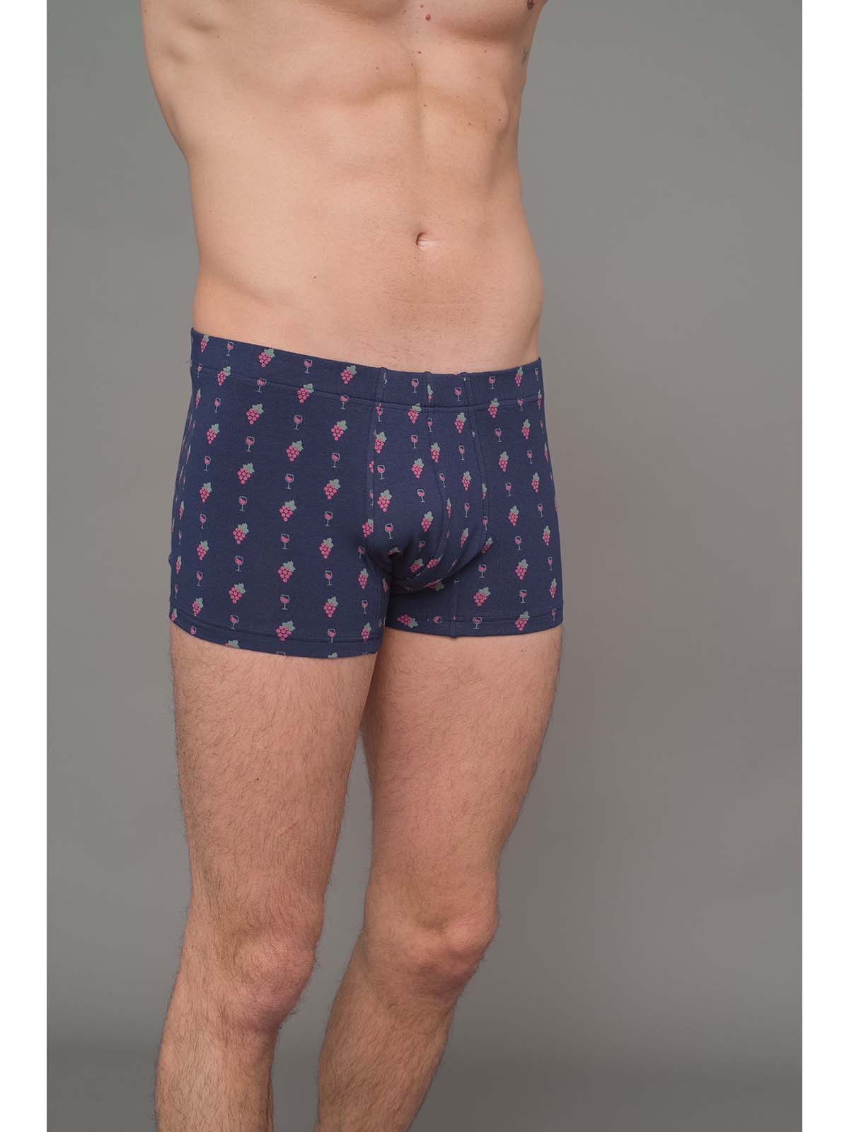 Julipet Boxer in cotone bielastico artist edition winewear